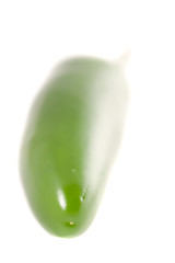 Image showing Hot Hot Hot Pepper 4