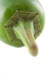 Image showing Jalapeno Hot Pepper 4