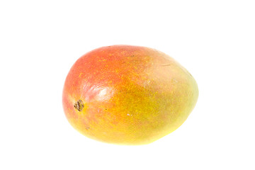 Image showing Much Ado about Mangos 5