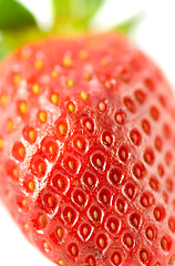 Image showing Striking Strawberry 5