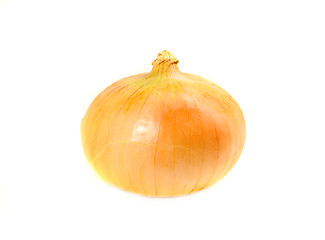 Image showing One Ordinary Onion