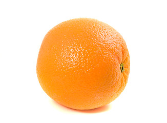 Image showing One Ordinary Orange