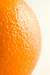 Image showing One Ordinary Orange