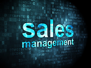 Image showing Advertising concept: Sales Management on digital background