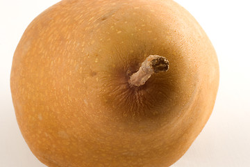 Image showing The Problem with Pears 15