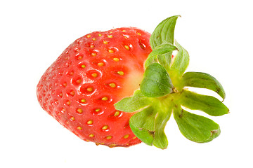 Image showing Striking Strawberry