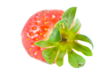 Image showing Striking Strawberry 2