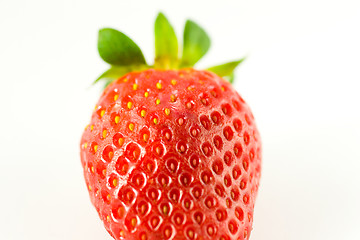 Image showing Striking Strawberry 3