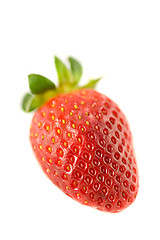 Image showing Striking Strawberry 4