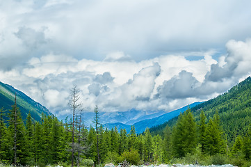 Image showing Akkem river Valley