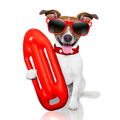 Image showing lifeguard dog 