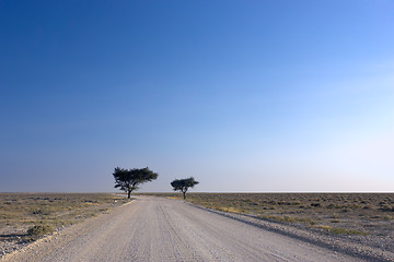 Image showing Country road