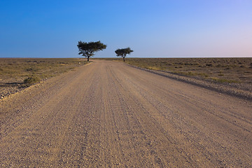 Image showing Country road