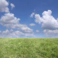 Image showing Clouds and grass