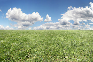 Image showing Sky and grass