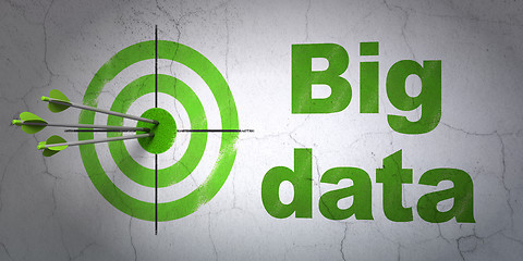 Image showing Data concept: target and Big Data on wall background