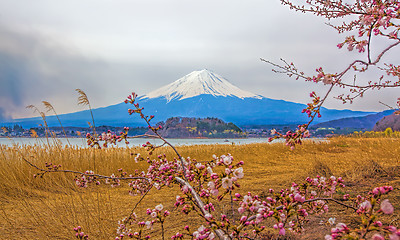 Image showing Mt Fuji