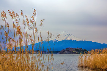 Image showing Mt Fuji