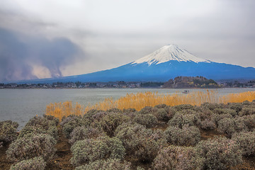 Image showing Mt Fuji