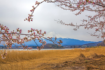 Image showing Mt Fuji