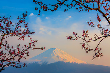 Image showing Mt Fuji