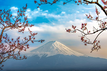 Image showing Mt Fuji