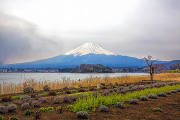 Image showing Mt Fuji