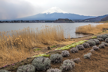 Image showing Mt Fuji