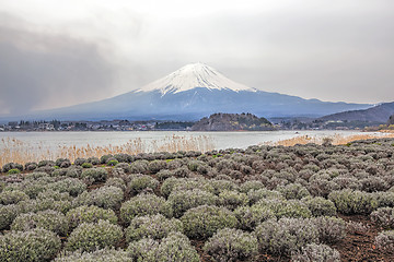 Image showing Mt Fuji