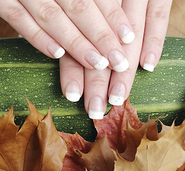 Image showing French manicured nails