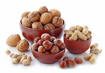 Image showing various kinds of nuts