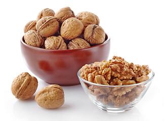 Image showing various kinds of walnuts