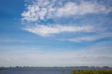 Image showing Summer lake landscape.