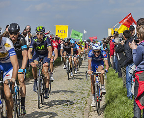 Image showing The Peloton- Paris Roubaix 2014