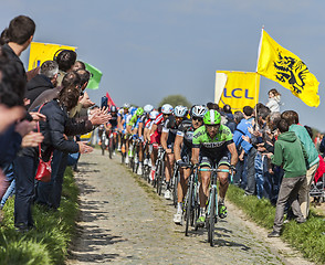 Image showing The Peloton- Paris Roubaix 2014