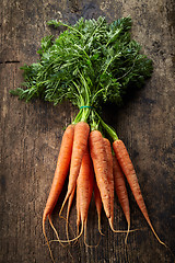 Image showing fresh carrot bunch