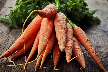 Image showing fresh carrot bunch