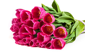 Image showing Bunch of tulips on a white