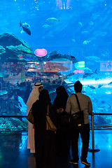 Image showing Largest aquarium of the world in Dubai Mall