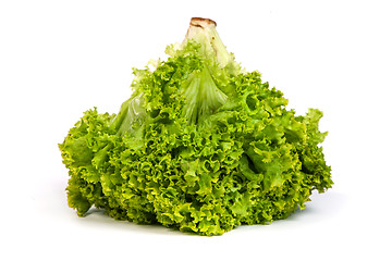 Image showing Fresh Green Lettuce isolated on white