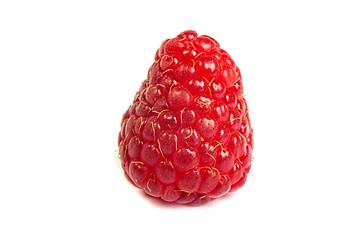 Image showing Single fresh raspberry, isolated on  white. Close up macro shot