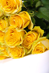 Image showing Group of fresh yellow roses