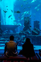Image showing Huge aquarium in a hotel Atlantis in Dubai on the Palm islands