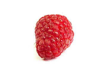 Image showing Single fresh raspberry, isolated on  white. Close up macro shot