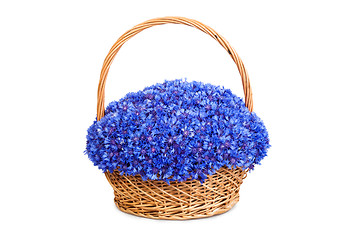 Image showing Beautiful blue cornflowers in a basket