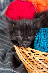 Image showing Black kitten playing with a red ball of yarn on white background