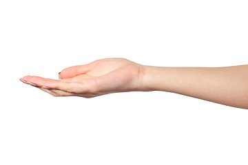 Image showing Open palm hand gesture of Female hand