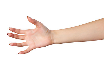 Image showing Female hand reaching for something on white