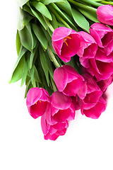 Image showing Bunch of tulips on a white