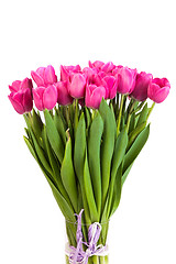 Image showing Bunch of tulips on a white